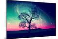 Photographic Print