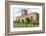 St. Aidan's Church, a 12th century place of worship, a key location in spreading Christianity-Stuart Forster-Framed Photographic Print