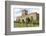 St. Aidan's Church, a 12th century place of worship, a key location in spreading Christianity-Stuart Forster-Framed Photographic Print