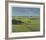 St. Andrews 11th - High (In)-Peter Munro-Framed Collectable Print