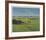 St. Andrews 11th - High (In)-Peter Munro-Framed Collectable Print