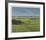 St. Andrews 11th - High (In)-Peter Munro-Framed Collectable Print