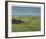 St. Andrews 11th - High (In)-Peter Munro-Framed Collectable Print