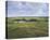 St. Andrews (14th hole)-Peter Munro-Framed Stretched Canvas