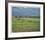 St. Andrews 16th - Corner Of The Dyke-Peter Munro-Framed Limited Edition