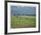 St. Andrews 16th - Corner Of The Dyke-Peter Munro-Framed Limited Edition