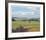 St. Andrews 6th - Heathery (Out)-Peter Munro-Framed Collectable Print