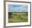 St. Andrews 9th - End-Peter Munro-Framed Collectable Print