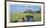 St. Andrews - A Panorama-Peter Munro-Framed Collectable Print