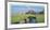 St. Andrews - A Panorama-Peter Munro-Framed Collectable Print