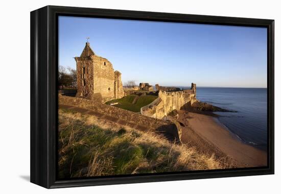 St. Andrews Castle and Castle Sands from the Scores at Sunrise, Fife, Scotland, UK-Mark Sunderland-Framed Premier Image Canvas