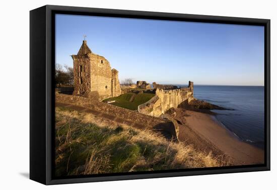 St. Andrews Castle and Castle Sands from the Scores at Sunrise, Fife, Scotland, UK-Mark Sunderland-Framed Premier Image Canvas