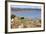 St. Andrews Castle and West Sands from St. Rules Tower at St. Andrews Cathedral-Mark Sunderland-Framed Photographic Print