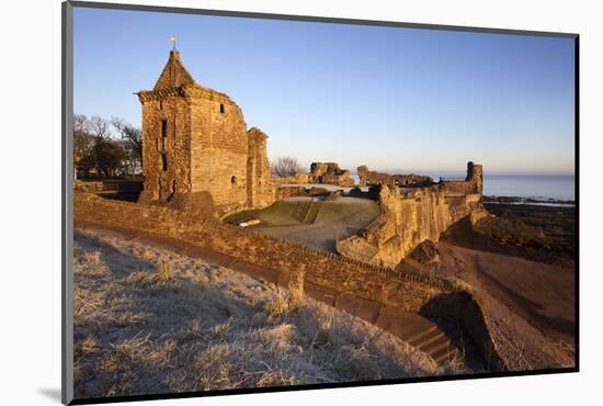 St. Andrews Castle at Dawn, Fife, Scotland, United Kingdom, Europe-Mark Sunderland-Mounted Photographic Print