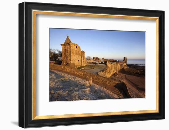 St. Andrews Castle at Dawn, Fife, Scotland, United Kingdom, Europe-Mark Sunderland-Framed Photographic Print