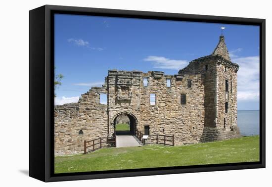 St Andrews Castle, Fife, Scotland, 2009-Peter Thompson-Framed Premier Image Canvas