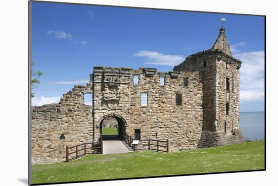 St Andrews Castle, Fife, Scotland, 2009-Peter Thompson-Mounted Photographic Print