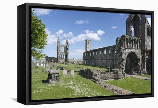 St Andrews Cathedral and St Rules Tower, Fife, Scotland, 2009-Peter Thompson-Framed Premier Image Canvas