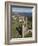 St. Andrews Cathedral, Fife, Scotland, United Kingdom, Europe-Richard Maschmeyer-Framed Photographic Print