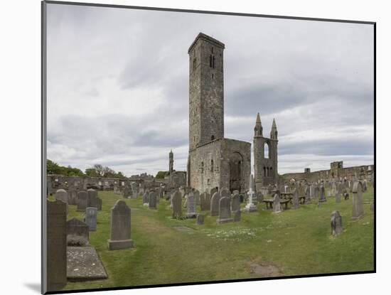 St. Andrews Cathedral Ruins, St. Andrews, Fife, Scotland, United Kingdom-Nick Servian-Mounted Photographic Print