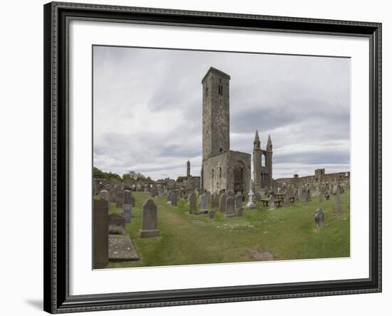 St. Andrews Cathedral Ruins, St. Andrews, Fife, Scotland, United Kingdom-Nick Servian-Framed Photographic Print