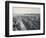 'St. Andrews - View of the Town from College Church Tower', 1895-Unknown-Framed Photographic Print