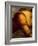 St Anne, Virgin and Child with Lamb, 1508-1513-Leonardo da Vinci-Framed Giclee Print