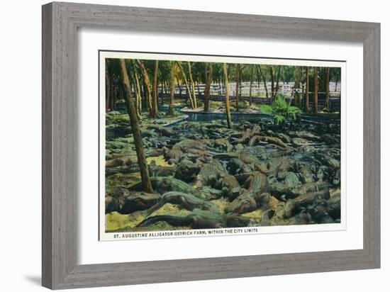 St. Augustine, Florida - Alligator-Ostrich Farm Scene-Lantern Press-Framed Art Print