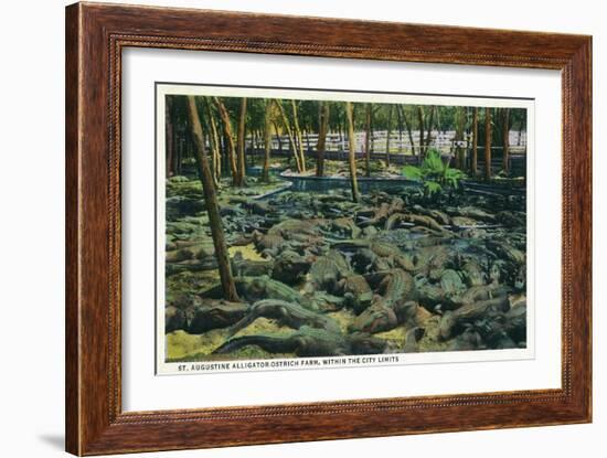 St. Augustine, Florida - Alligator-Ostrich Farm Scene-Lantern Press-Framed Art Print