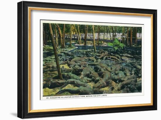 St. Augustine, Florida - Alligator-Ostrich Farm Scene-Lantern Press-Framed Art Print