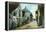 St. Augustine, Florida - Charlotte Street Scene-Lantern Press-Framed Stretched Canvas