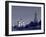 St. Basil's Cathedral and Kremlim, Red Square, Moscow, Russia-Jon Arnold-Framed Photographic Print