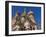 St. Basil's Cathedral in Red Square, Moscow, Russia-Keren Su-Framed Photographic Print