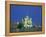 St. Basil'S, Red Square, Moscow, Russia-Jon Arnold-Framed Premier Image Canvas