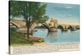 Stretched Canvas Print