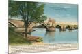 Premium Giclee Print