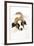 St Bernard Dog 14 Week Old Puppy-null-Framed Photographic Print