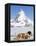 St. Bernard Dog and Matterhorn From Atop Gornergrat, Switzerland, Europe-Michael DeFreitas-Framed Premier Image Canvas