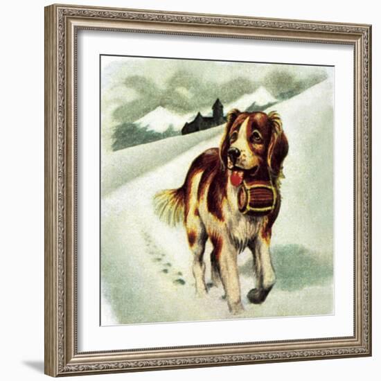 St Bernard Dog-McConnell-Framed Giclee Print