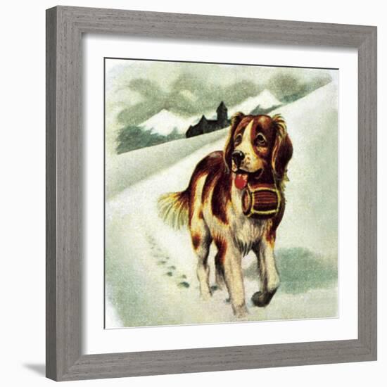 St Bernard Dog-McConnell-Framed Giclee Print