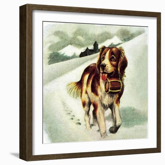 St Bernard Dog-McConnell-Framed Giclee Print