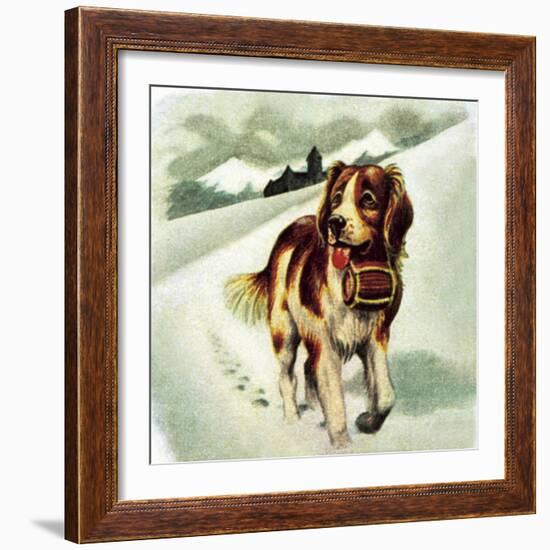 St Bernard Dog-McConnell-Framed Giclee Print