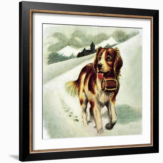 St Bernard Dog-McConnell-Framed Giclee Print