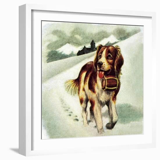 St Bernard Dog-McConnell-Framed Giclee Print