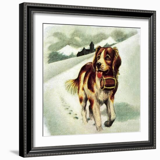 St Bernard Dog-McConnell-Framed Giclee Print