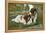 St. Bernard Puppies-null-Framed Stretched Canvas