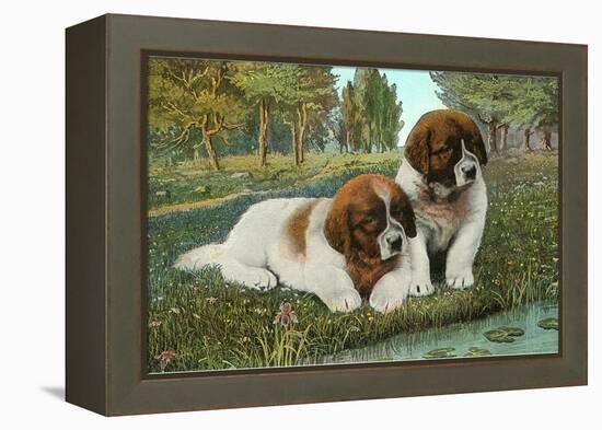 St. Bernard Puppies-null-Framed Stretched Canvas
