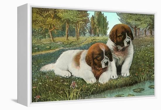 St. Bernard Puppies-null-Framed Stretched Canvas