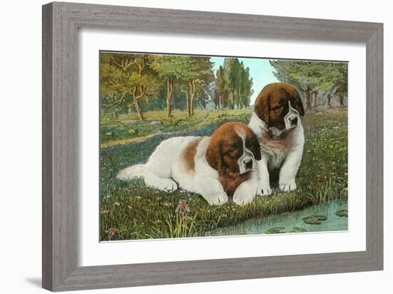 St. Bernard Puppies-null-Framed Art Print