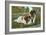 St. Bernard Puppies-null-Framed Art Print